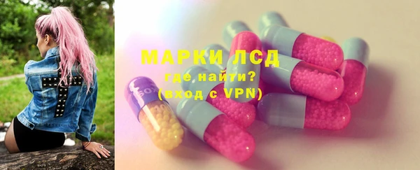 молекула духа Арсеньев